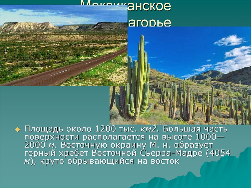 Где находится береговой хребет. Мексиканское Нагорье, скалистые горы, Сьерра-Невада.. Хребты и нагорья анд от Венесуэлы до Чили. Площадь гор Кордильеры. Кордильеры описание.