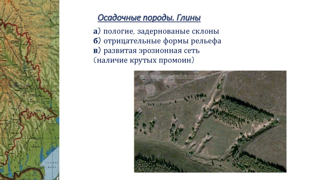 Осадочные породы. Глины