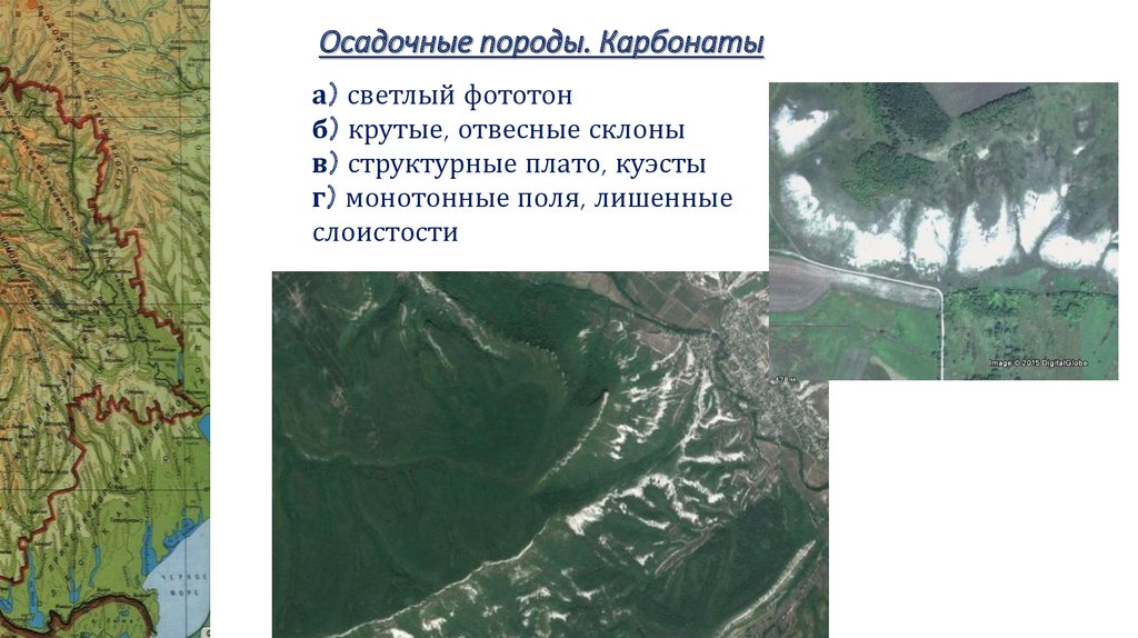 Осадочные породы. Карбонаты