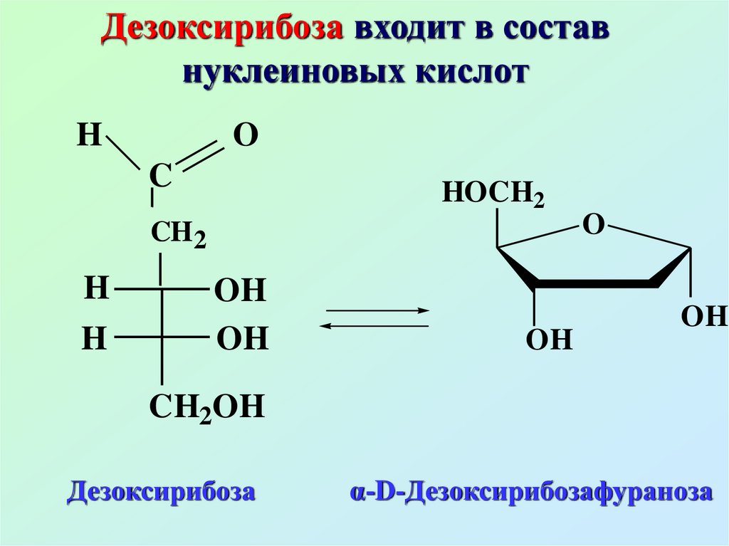 Соединение 2 моносахаридов