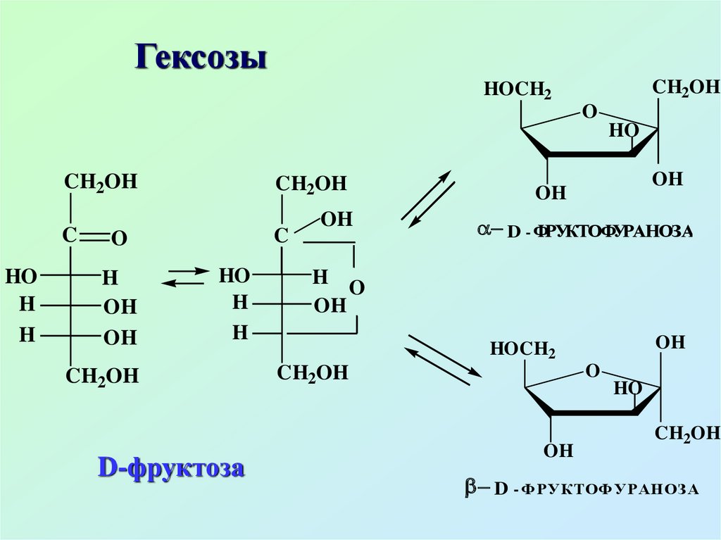 Фруктоза синтез. Моносахариды гексозы формула. Гексозы с общей формулой. Пентозы и гексозы. Глюкоза гексоза.