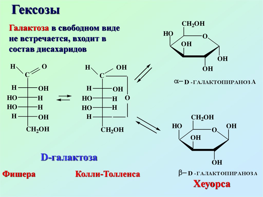 Глюкоза галактоза рибоза. Манноза это моносахарид. Схема таутомерных превращений маннозы. Формулы Хеуорса моносахаридов. Д галактоза формула Хеуорса.