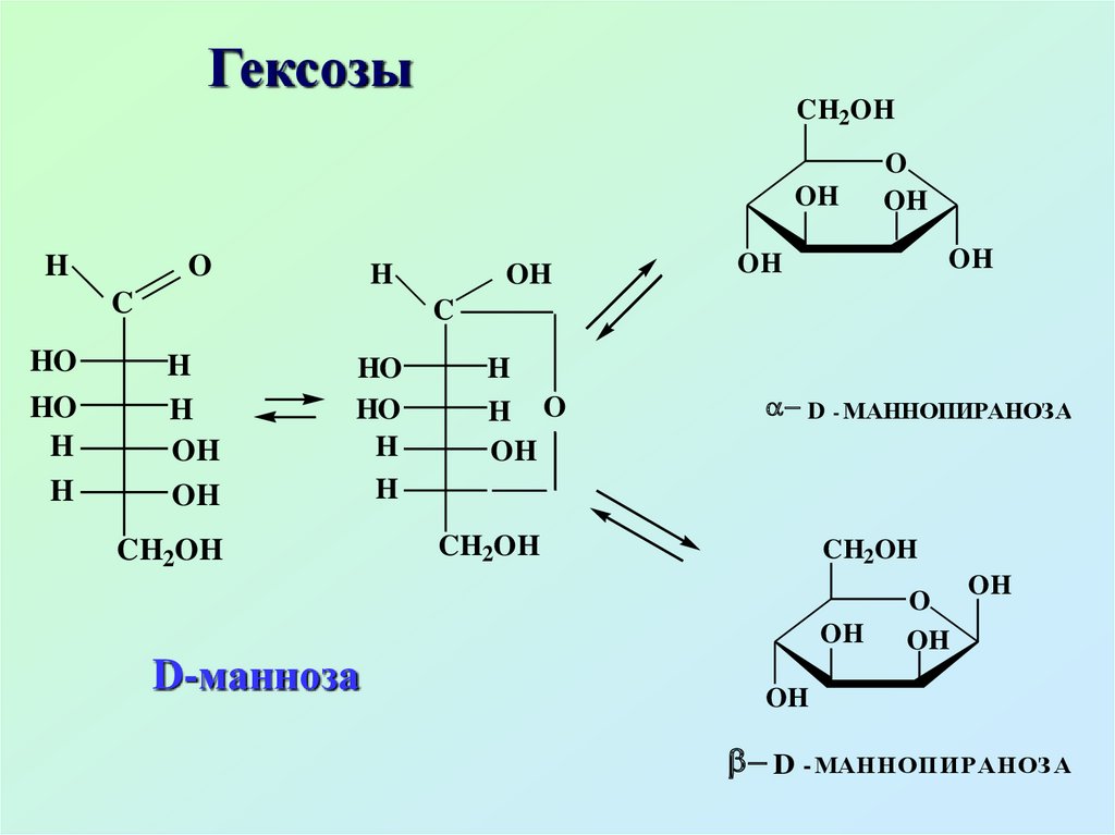 Д маноза. Манноза это моносахарид. Циклическая форма д маннозы. L-манноза циклическая форма. Манноза гексоза.