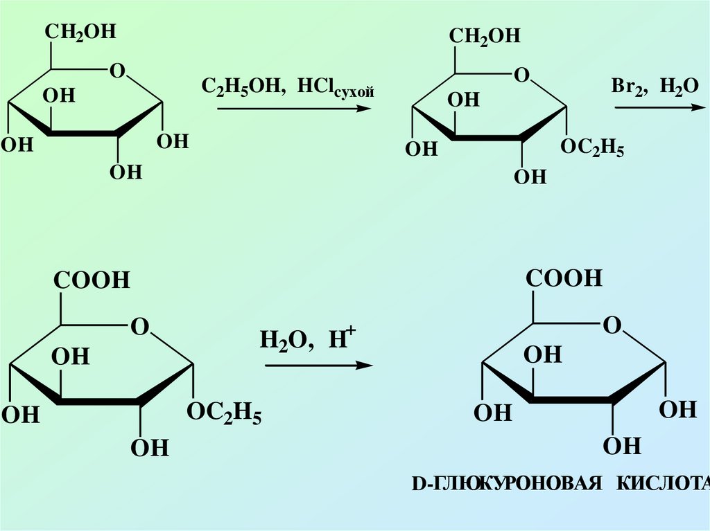 Реакция поликонденсации глюкозы. Шестиуглеродный моносахарид. Полимеризация моносахаридов. Поликонденсация моносахаридов. Кислоты моносахаридов.