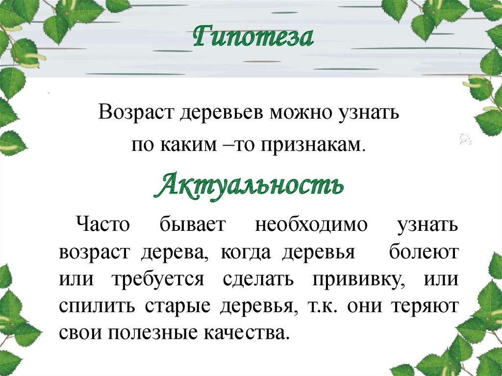 Возраст деревьев. Дерево гипотез. Гипотеза о старых деревьях. Признаки старости деревьев. А от чего болеют деревья? Показ слайда.