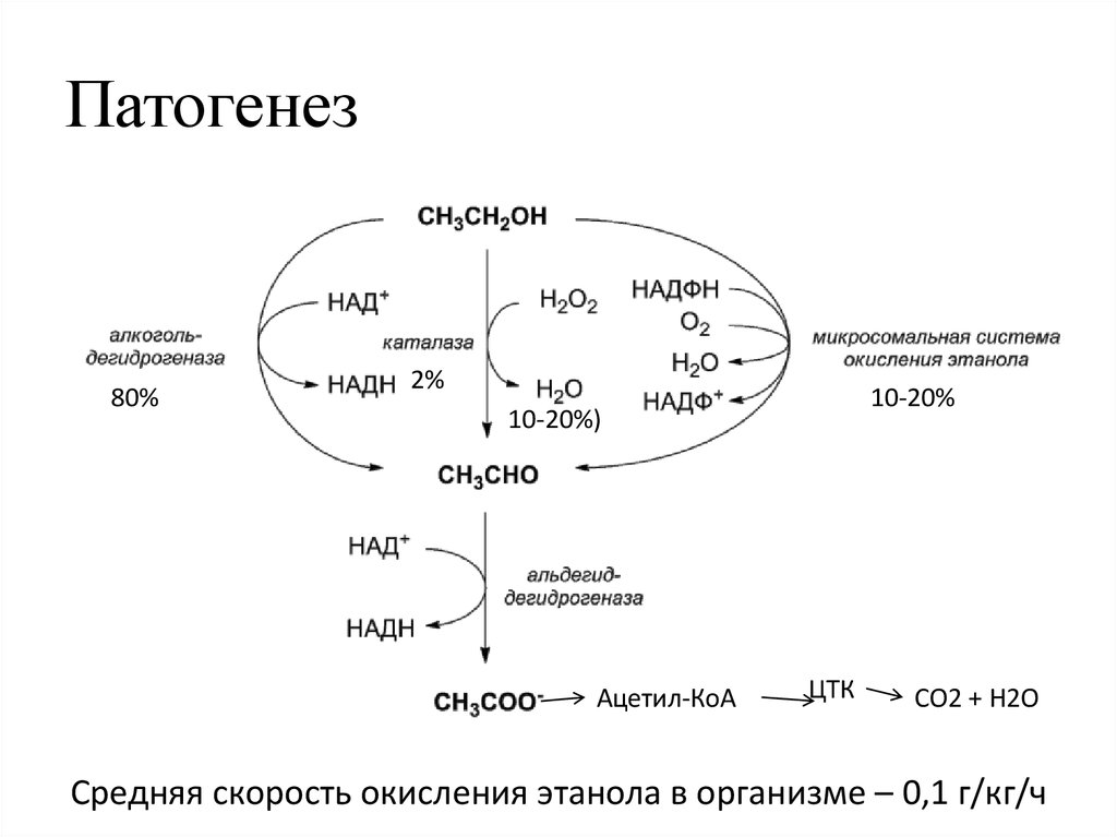 Патогенез алкоголизма схема