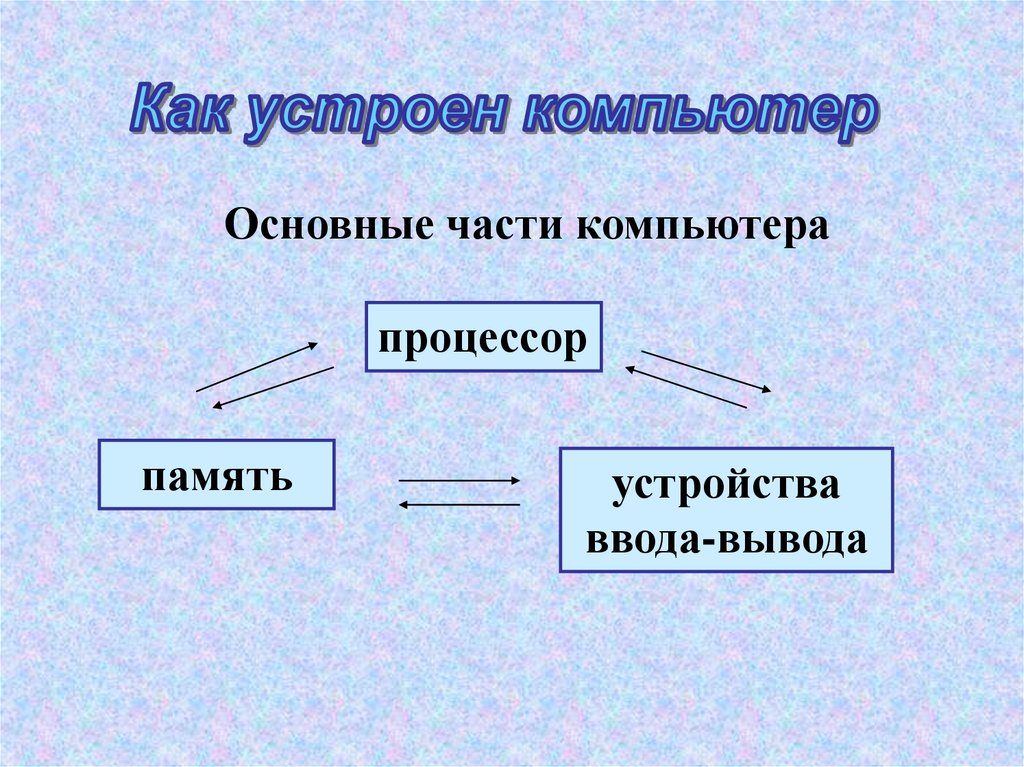 Презентация мир животных 7 класс информатика