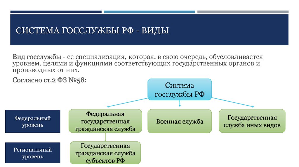 Система госслужбы РФ - виды