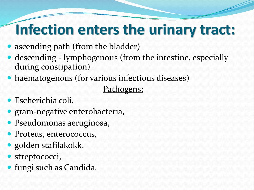Infection enters the urinary tract: