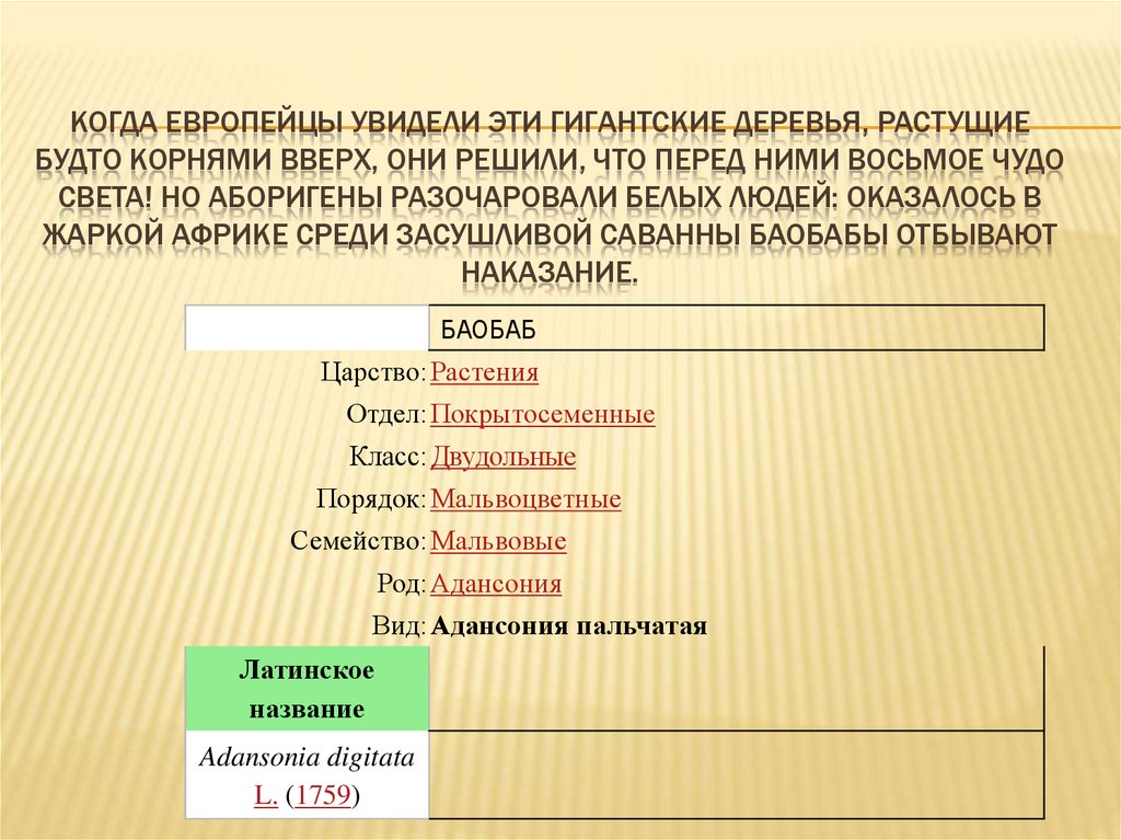 Когда европейцы впервые увидели его они сказали что у этого животного 2 хвоста