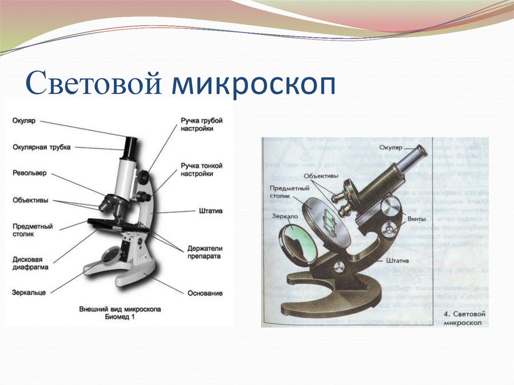 Детали микроскопа