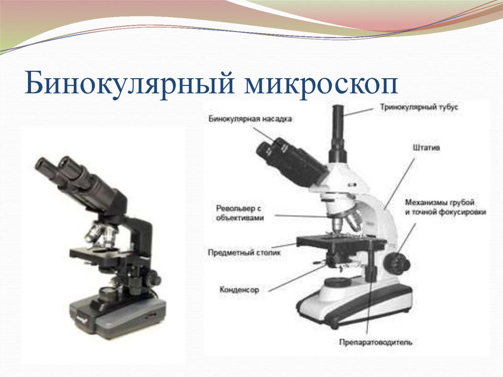 Цифровой микроскоп строение с подписями и названиями. Бинокулярный микроскоп 1947. Микроскоп бинокуляр XS-402. Микроскоп XSP-104 бинокулярный,. Строение микроскопа Levenhuk.