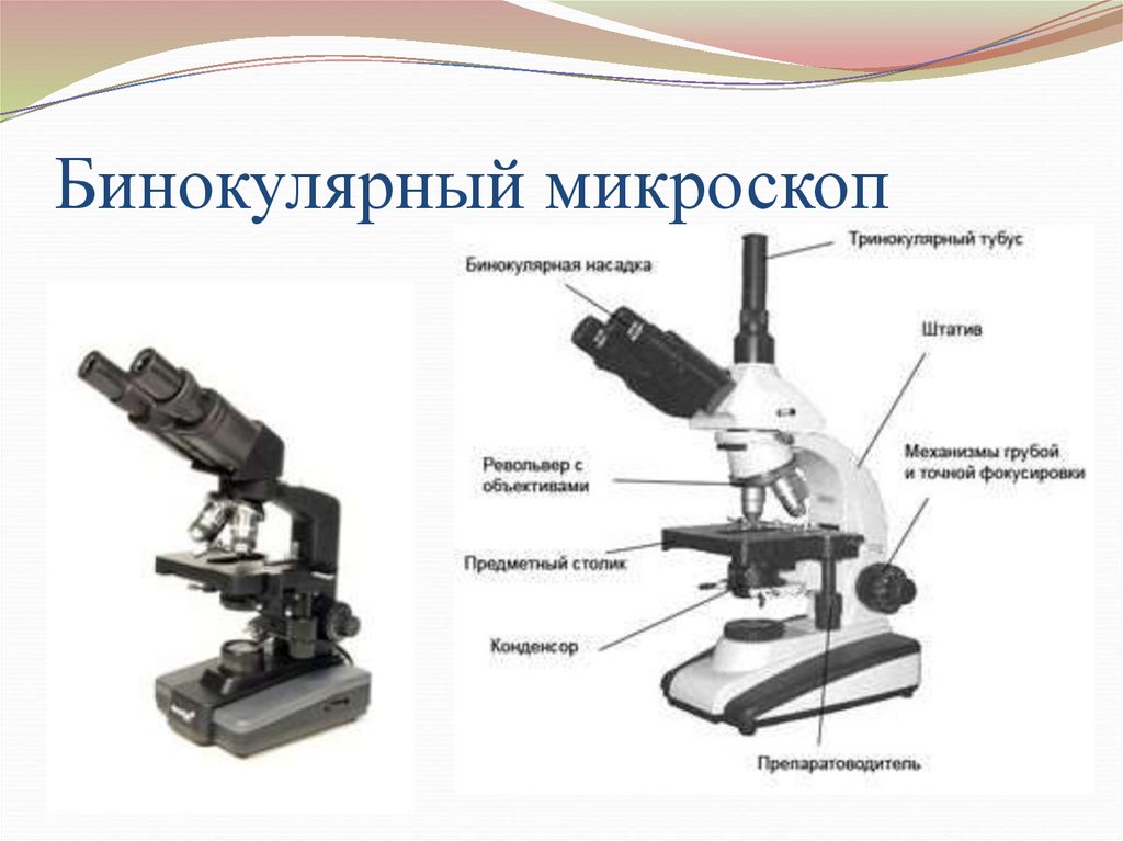 Чем отличаются микроскопы. Бинокулярный микроскоп осветительная система. Бинокулярный микроскоп строение. Оптическая схема микроскопа бинокуляр. Бинокуляр микроскоп строение.