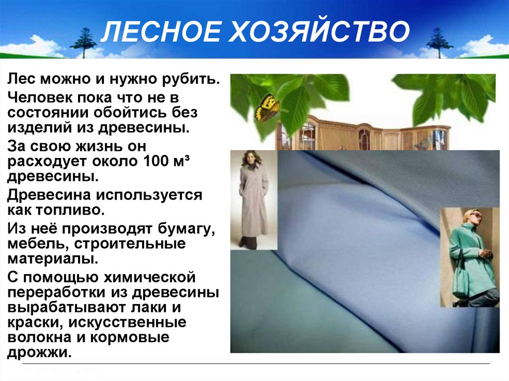 Лесное хозяйство презентация