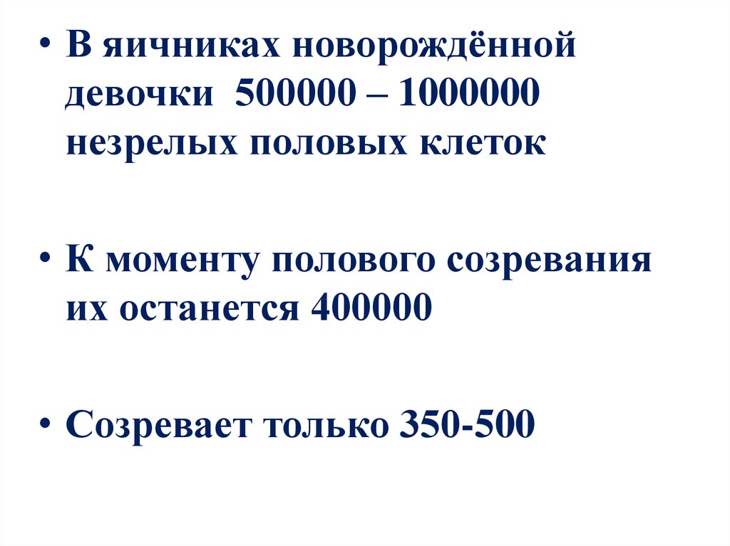 Яичники новорожденных. Яичник новорожденной девочки.