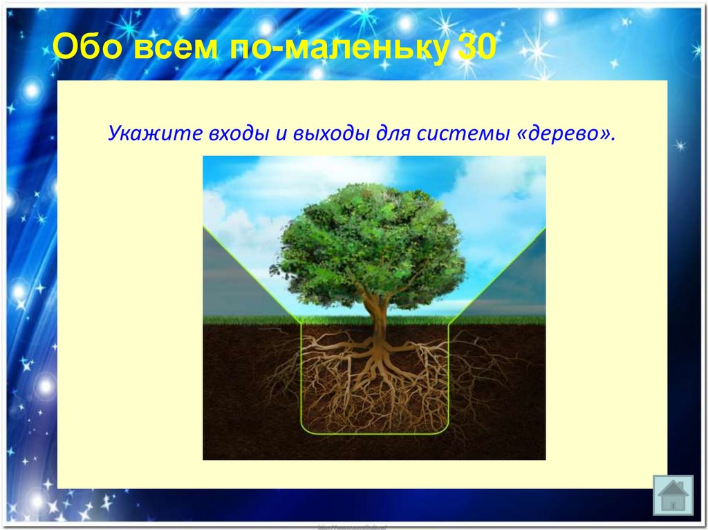 Система дерево. Вход и выход для системы дерево:. Укажите входы и выходы для системы. Выходами системы дерево являются Информатика. Входами системы дерево являются.