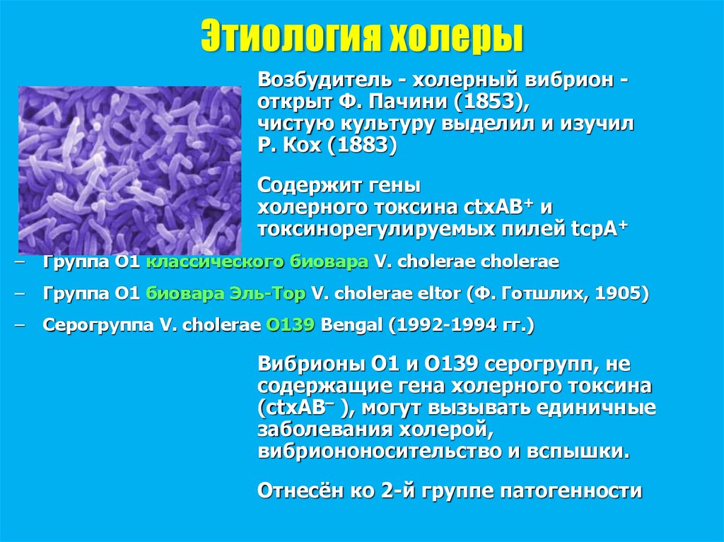 Известно что холерный вибрион вид подвижных. Классификация вибрионов микробиология. Холера этиология. Холерные вибрионы вызывают заболевания.