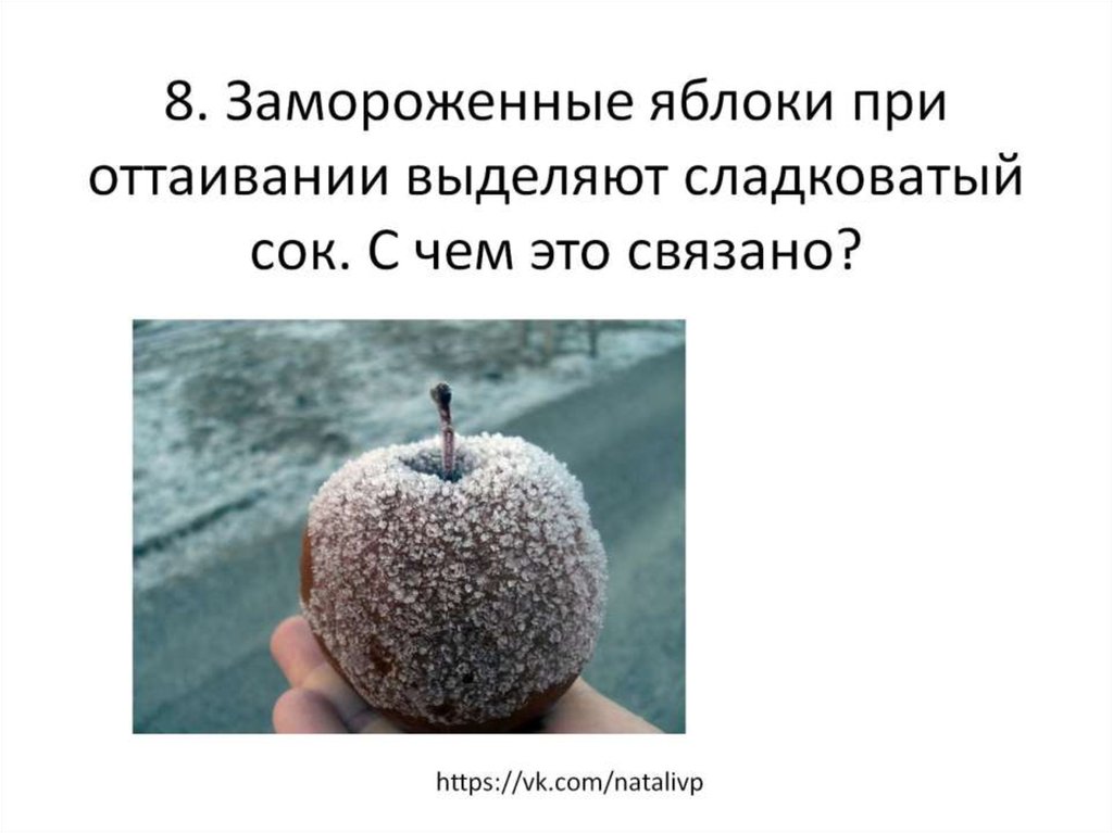 8. Замороженные яблоки при оттаивании выделяют сладковатый сок. С чем это связано?