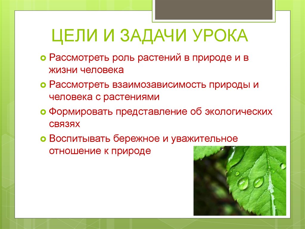 Роль растений и животных. Какова роль растений в природе и жизни человека. Роль растений в жизни человека задания. Взаимозависимость человека и природы презентация. Экологическая роль травы в природе.