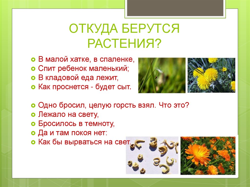 Откуда берется класс