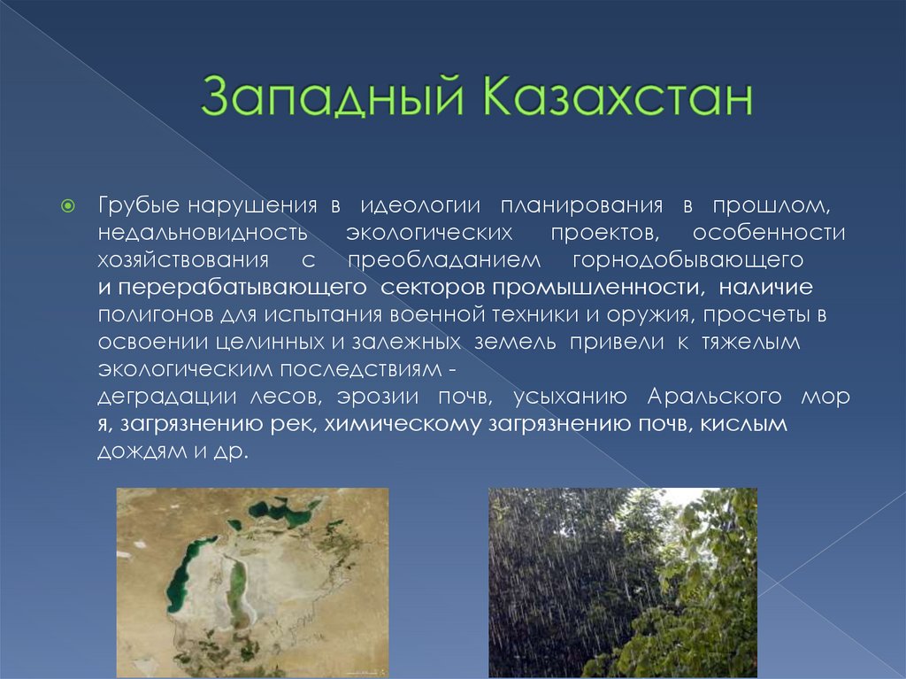 Курсовая работа: Экологические проблемы в Республике Казахстана
