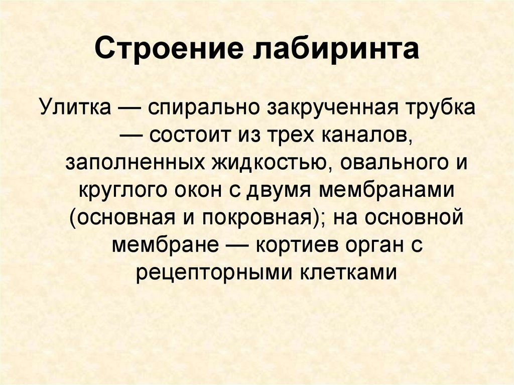 Функции сенсорной системы органов