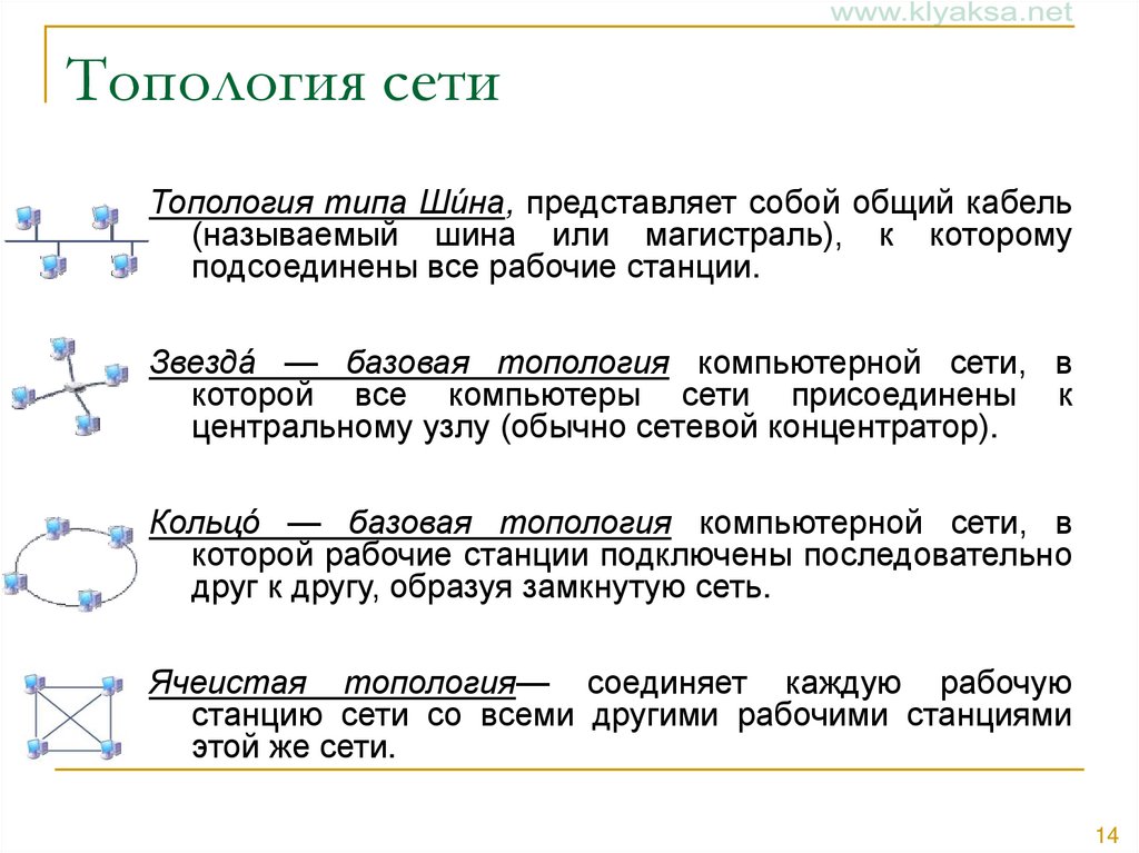 Топология сетей презентация