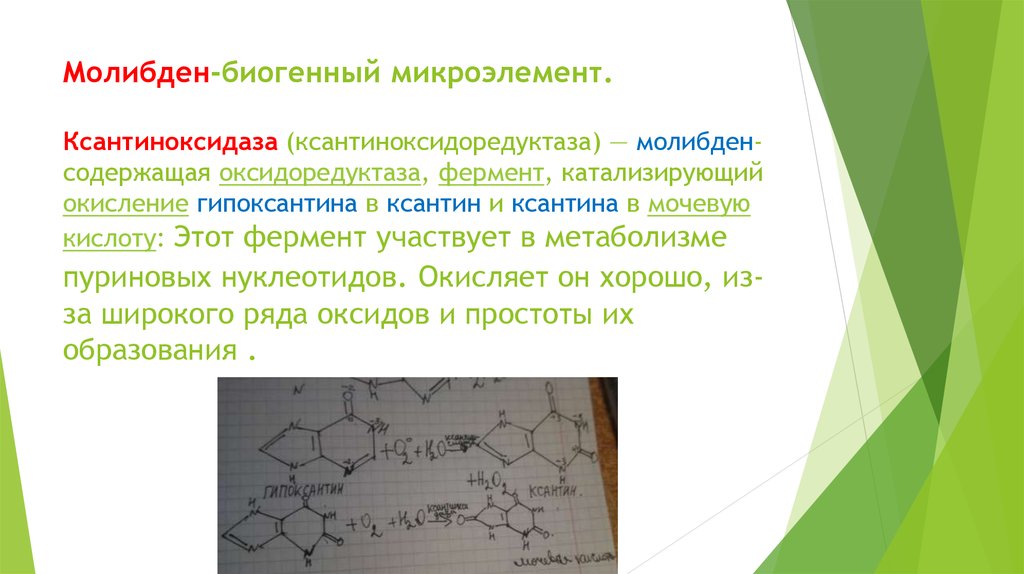 Биогенные элементы