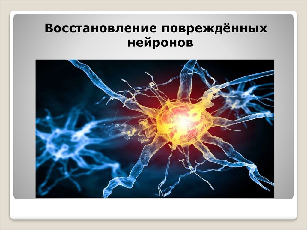 3 регенерация. Восстановление нервных клеток. Повреждение нейрона. Повреждение нервной клетки. Нервные клетки восстанавливаются.