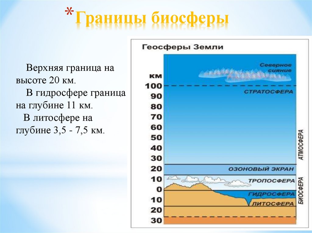 Верхняя граница биосферы находится в. Верхняя граница биосферы располагается на высоте. Верхняя граница геосферы. Высота верхней границы биосферы. Границы биосферы в гидросфере.