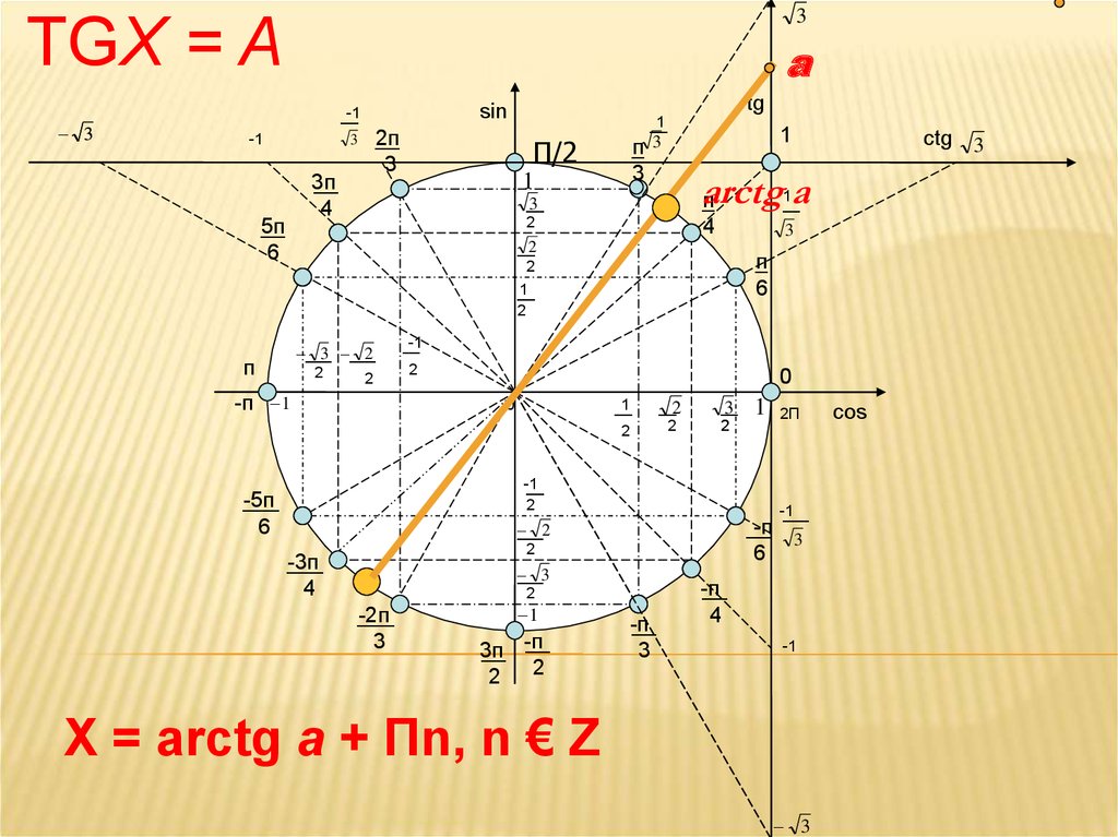 Tg x 10. TGX. TG X. Arcctg на единичная окружность. Arctg 3 на окружности.