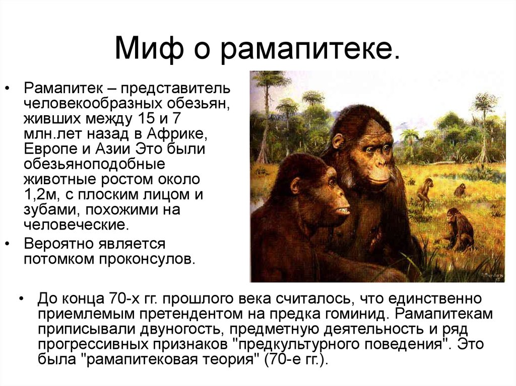 Образ жизни человекообразных обезьян. Рамапитек Эволюция. Рамапитек образ жизни таблица. Представители рамапитеков. Рамапитек описание.