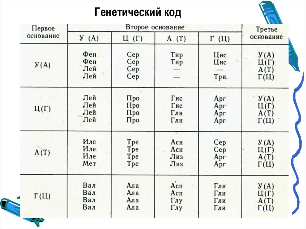 2 генетический код его свойства