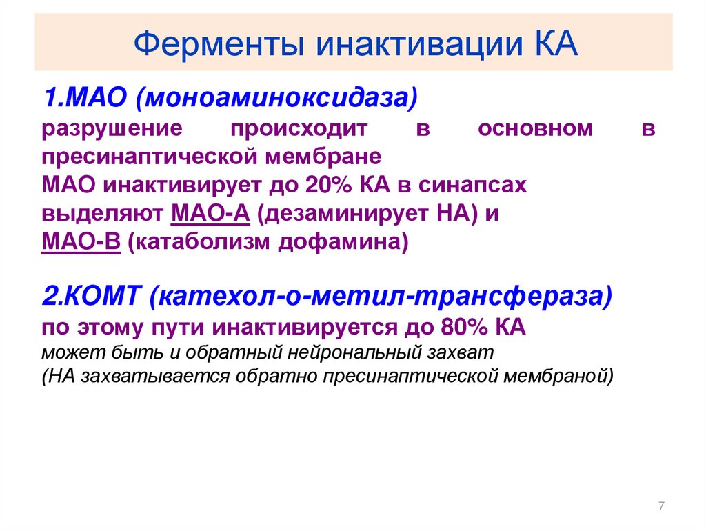 Монолог фармацевта мао мао. Мао фермент. Фермент моноаминоксидаза. Роль моноаминоксидазы. Ферменты Мао и Комт.