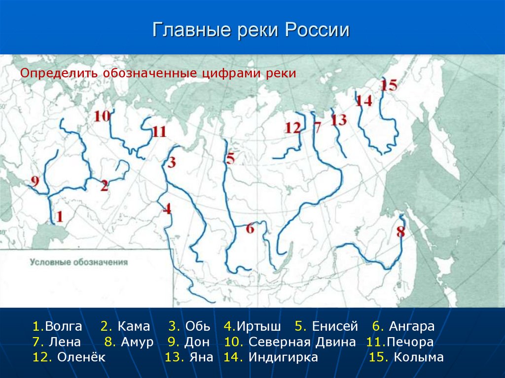 К бассейну какого океана относится река енисей. Реки Лена Обь и Енисей на карте России. Крупные реки России на карте. Волга Обь Енисей Лена Амур на карте России. Крупные реки России на контурной карте 8 класс.