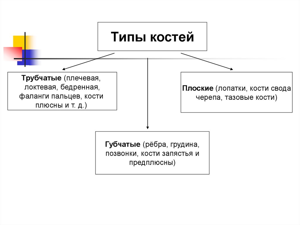 Составьте схему эволюции орудий труда