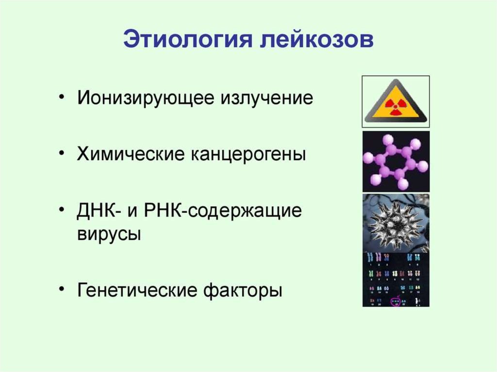 Лейкоз патофизиология презентация