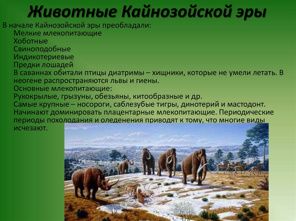 Сообщение о периоду. Палеогеновый период кайнозойской эры таблица. Фауна кайнозойской эры таблица. Вымершие растения кайнозойской эры. Кайнозой Эра кратко.