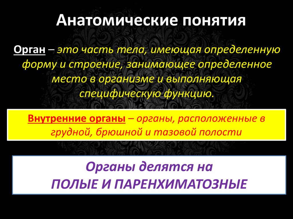 Понятие орган. Анатомия понятие. Основные понятия в анатомии. Определение понятия орган. Анатомические понятия: организм.