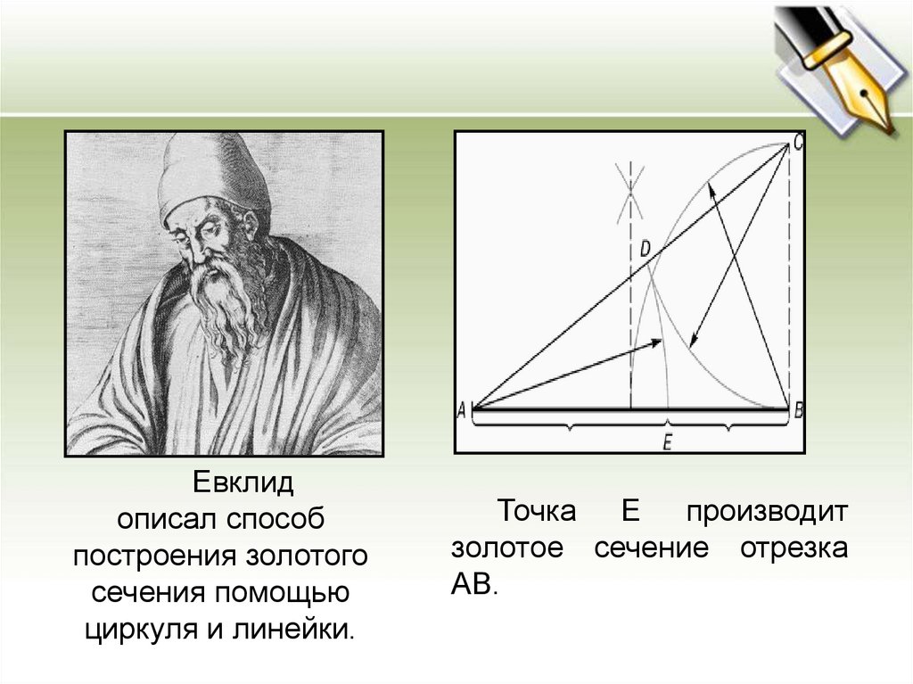 Золотое сечение проект 7 класс