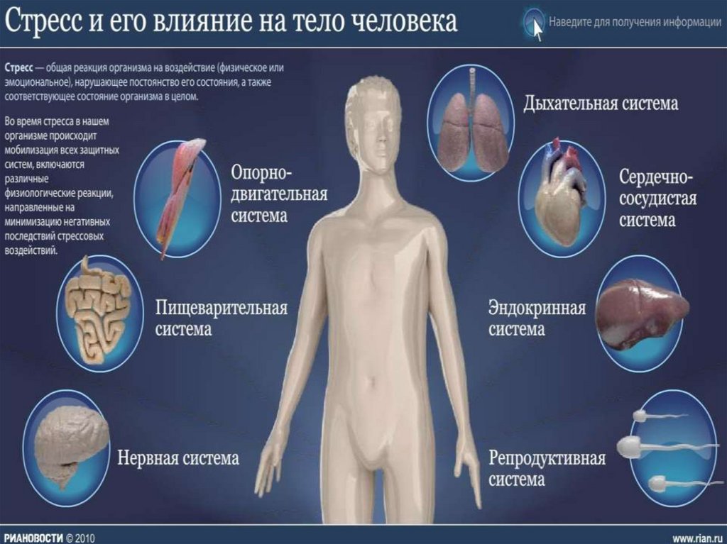 Стрессы и их влияние на здоровье человека презентация