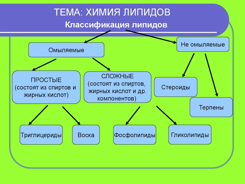 Общий признак липидов