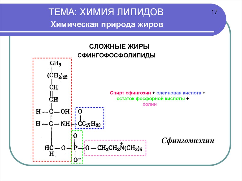 Химические свойства липидов. Сфингозин+Холин+олеиновая кислота реакция. Сфингозин с олеиновой кислотой. Химическая природа липидов. Сфингофосфолипиды.