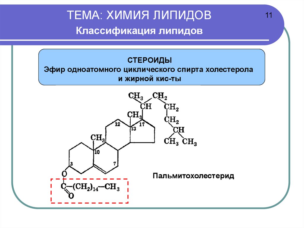 Липиды химия презентация