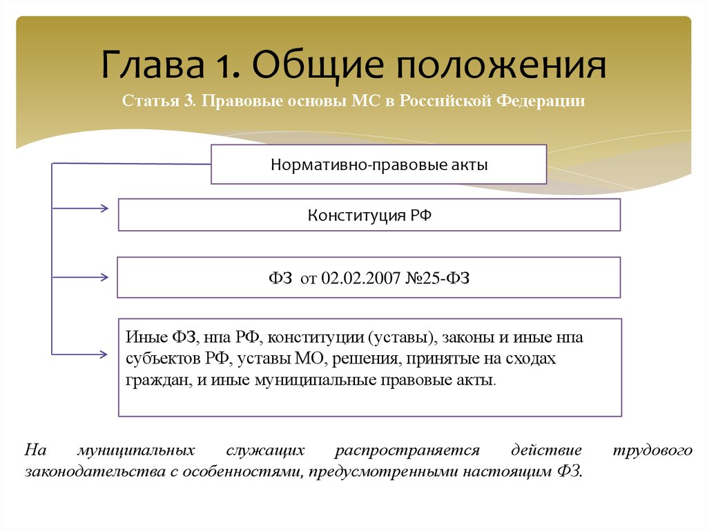 Позиции статей. Основы МС. Основные положения статьи это. Глава 1 Общие положения. Глава 22. Общие положения.