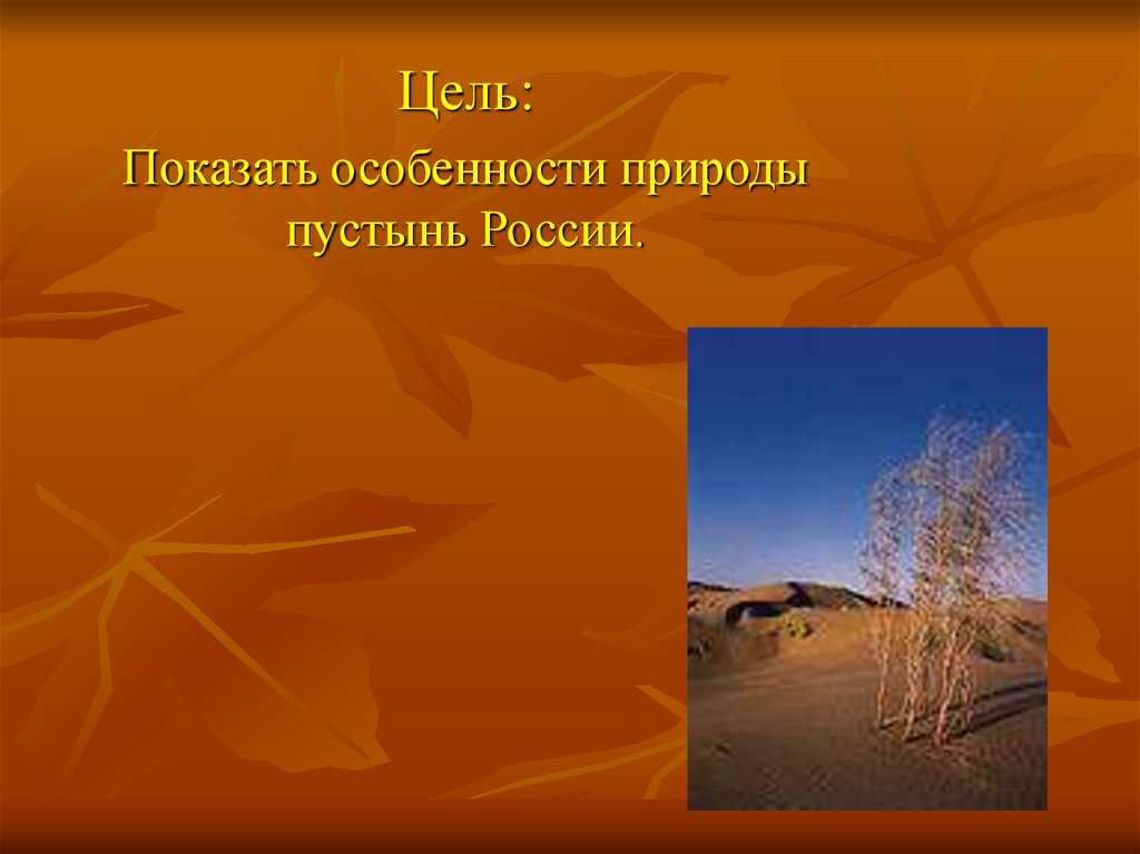 2 особенности природы. Особенности природы пустыни в России. Климат пустынь России. Особенности природы России доклад.