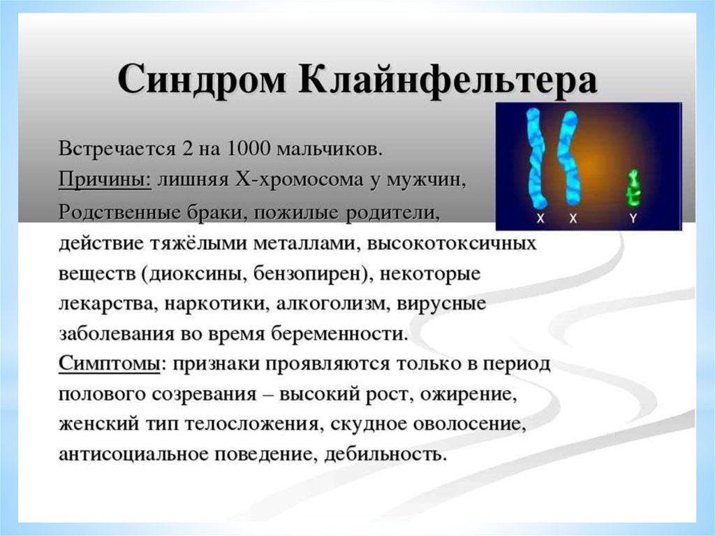 1000 мальчиков. Клинические признаки синдрома Клайнфельтера. Синдром Клайнфельтера кариотип. Синдром Клайнфельтера характеризуется. Синдром Клайнфельтера анеуплоидия.