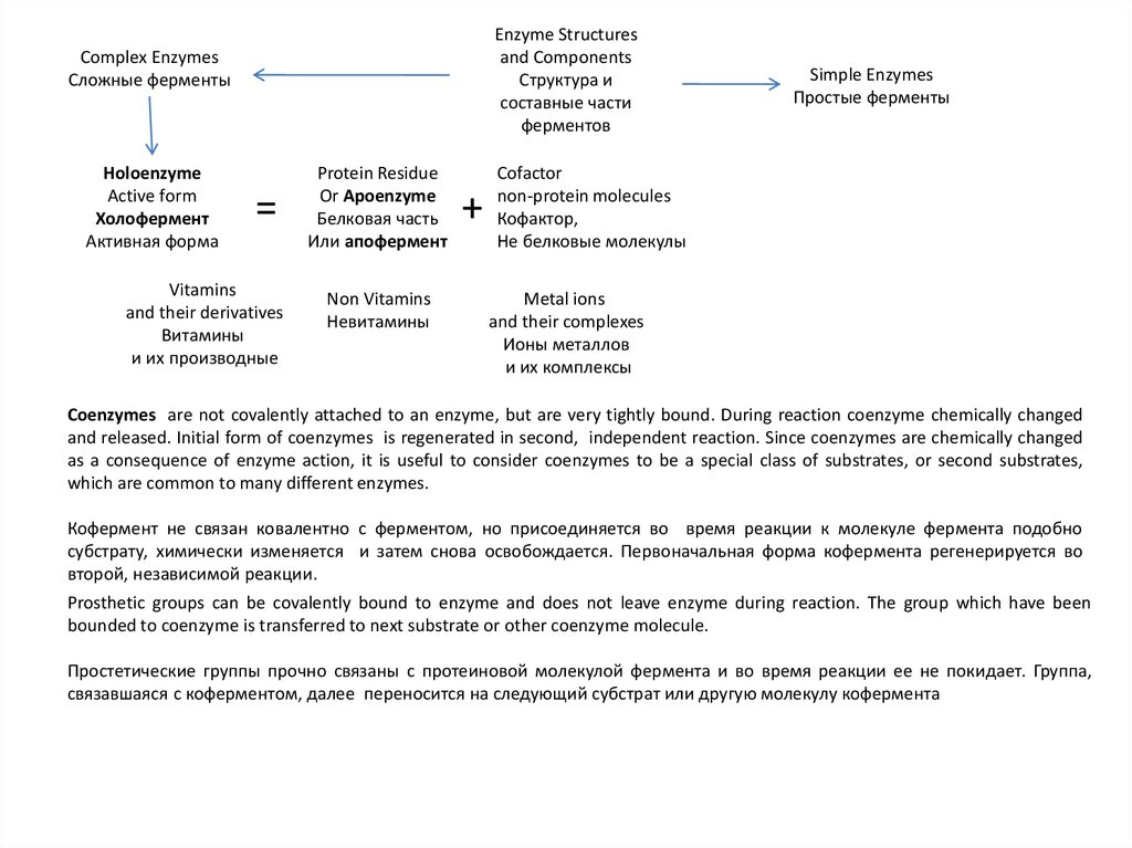 Составные части фермента. Simple and Complex Enzymes.