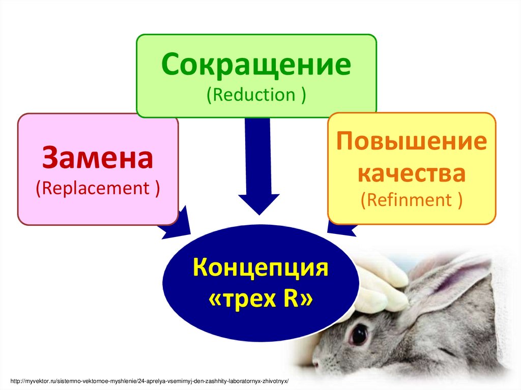 Презентация по биологии 8 класс мышление