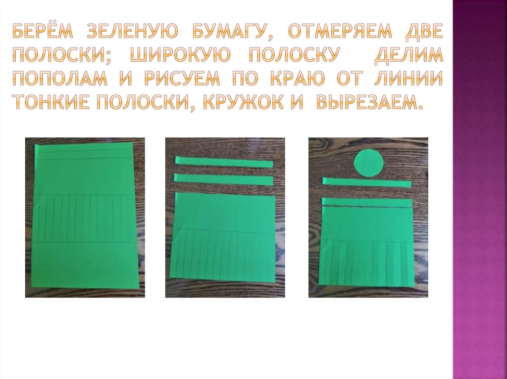 Берём зеленую бумагу, отмеряем две полоски; широкую полоску делим пополам и рисуем по краю от линии тонкие полоски, кружок и